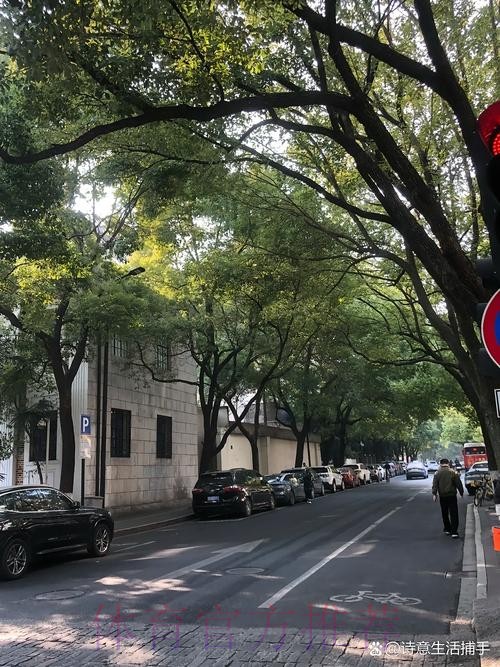 安帅:对塞巴略斯伤情感到遗憾 但我们还有魔笛